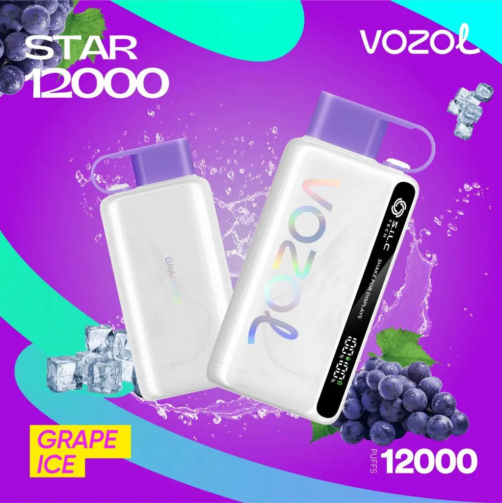 Vozol Star 12000 Puffs Disposable Vape in UAE